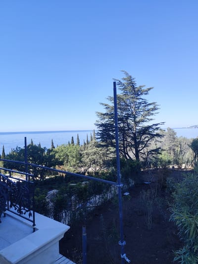 The image shows a coastal landscape under a clear blue sky. In the foreground, there is an ornate black metal railing atop a white stone structure, possibly a balcony or terrace. To the right, scaffolding is present, partially obscuring the view. The mid-ground is filled with trees and shrubs of varying heights and species. A tall, mature tree dominates the scene. Beyond the trees, a body of water stretches to the horizon. The location is not recognizable as the city of George, South Africa, based on the image alone. The image contains no people, actions, or interactions.