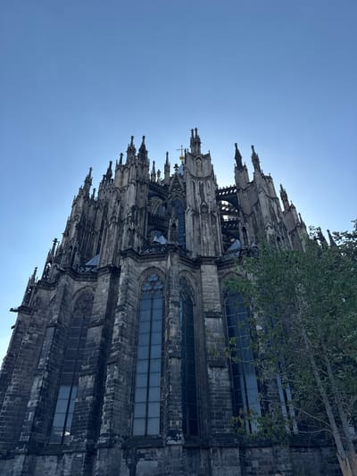 The image shows the exterior of Cologne Cathedral in Cologne, Germany, viewed from a low angle against a clear blue sky. The cathedral is a large Gothic structure made of dark stone, with numerous spires, pointed arches, and tall, narrow windows. A portion of a leafy green tree is visible in the right foreground, obscuring some of the cathedral's facade. The sun appears to be behind the cathedral, creating a slight backlight effect and a halo around some of the spires. There are no people visible in the image. The scene is static and appears to have been captured during the daytime.