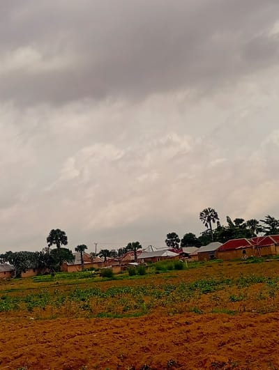 The image depicts a rural scene in Du, Nigeria, under a heavily overcast sky. In the foreground, there is a tilled field with rich brown soil, suggesting recent cultivation. Beyond this field, a lush green patch of crops or vegetation is visible, with some scattered plants and rows of growth.

In the midground, a line of buildings with red and grey roofs are nestled among various trees, including distinct palm trees and other leafy varieties. The buildings appear to be houses or small structures, some with visible walls made of earth-toned material. Utility poles and wires are also present, indicating some level of infrastructure. The overall impression is one of a village or small settlement within a predominantly agricultural landscape. The overcast sky casts a soft, diffused light over the entire scene, creating a muted color palette.