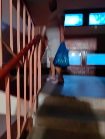 The image shows a person walking down a staircase, holding a blue plastic bag. The person is wearing a light-colored t-shirt and shorts. The staircase has wooden railings and is lit by artificial lights. There are windows visible in the background with bright blue light coming through them. The scene appears to be indoors, possibly in a residential building or a public space. The city of Fanipal, Belarus is not explicitly identified in the image, but it is a known detail of the context.