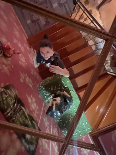 This media file captures a downward-angled view of a person lying on a pink, floral carpet. The person is wearing a black t-shirt and has dark hair pulled back. They are looking up at the camera with a slight smile. Next to the person, on a green mat, is a black and brown statue that resembles a dog, possibly a German Shepherd.

The scene appears to be indoors, likely in a home, given the carpet and the presence of a staircase visible in the background. The staircase is made of dark wood and has a metal railing. The overall lighting suggests it could be daytime, but the exact time is not discernible. There is a decorative object on the carpet, near the person, which appears to be a red, ornate piece. In the lower right of the frame, a large framed picture or artwork is visible, depicting a dark, possibly natural scene. The mirror framing the entire scene is ornate and gilded.

The overall mood seems casual and relaxed, with the subject appearing comfortable and engaged with the camera. The location context of Krasnoe-na-Volge, Russia, is provided, but no specific visual cues within the image strongly confirm this location. There is no visible text in the image.