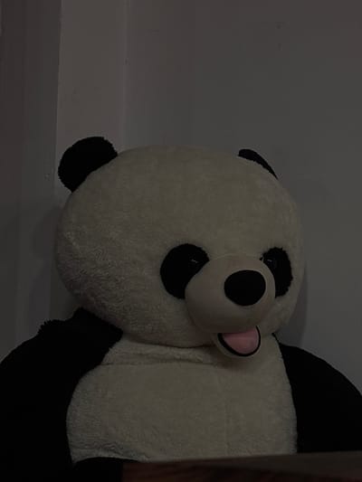 This image displays a large, black and white panda plush toy situated indoors in Ushintsi, Bulgaria. The plush toy, facing forward, dominates the central and lower portions of the frame. Its head and upper torso are white with visible black circular eye patches, black ears, and a black nose. A small, pink, fleshy tongue protrudes slightly from its mouth. The plush material exhibits a soft, textured appearance. The ambient lighting is dim, casting a subdued illumination across the scene. The background consists of plain, light-colored walls, with a distinct vertical corner line visible on the left side. The panda appears to be resting on a dark, flat surface, potentially wood or laminate, which is partially visible along the bottom edge of the image. No human subjects, actions, or interactions are present.
