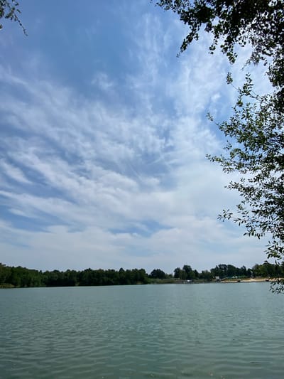 The image depicts a calm lake with a tree-lined shore under a partly cloudy sky. The water has a greenish hue and exhibits small ripples. In the background, a dense forest stretches across the horizon, with some scattered buildings and a beach area visible on the right side. Lush green foliage from a tree branch hangs into the frame from the top right corner. The sky is a light blue with wispy white clouds. The scene is a natural landscape with some man-made structures in the distance. This scene is of the Quarry Lake in Kaniów, Poland.