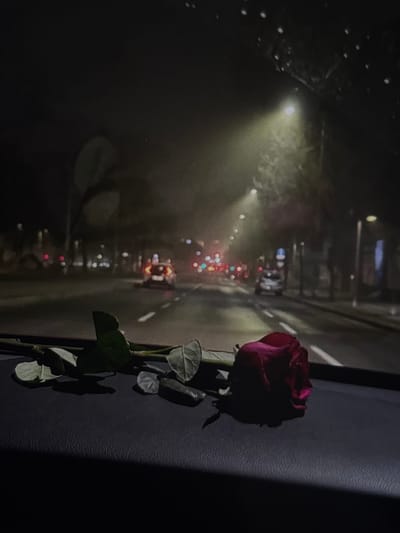 A close-up, low-angle, night-time shot captures a single, deep red rose resting on the dark, textured surface of a car's dashboard. The rose is slightly wilted, with its petals loosely unfurled, and is positioned to the right of the frame. To its left, a stem with several green leaves and two fallen leaves are visible. The background is blurred and depicts a street scene at night. Streetlights cast a hazy glow on the road, illuminating passing cars and the silhouettes of trees lining the street. The overall mood is somber and atmospheric, possibly suggesting a journey through Iquique, Chile, during the night.