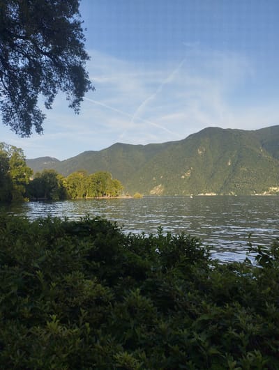 A serene view of Lake Lugano, Switzerland, showcases the natural beauty of the region. In the foreground, lush green foliage, likely bushes and trees, frames the lower portion of the image. The lake itself occupies the middle ground, its surface rippled by gentle waves, reflecting the soft, blue sky above. A prominent mountain range, densely covered with trees, forms the backdrop, rising majestically from the far side of the lake. The sky is a clear blue, with a few wispy white clouds and what appear to be contrails from an aircraft, suggesting a pleasant day. On the far shore, a cluster of trees creates a small island or peninsula jutting into the water, and beyond that, hints of buildings or structures can be seen nestled against the mountainside, indicating a populated area. The overall impression is one of tranquility and natural grandeur.