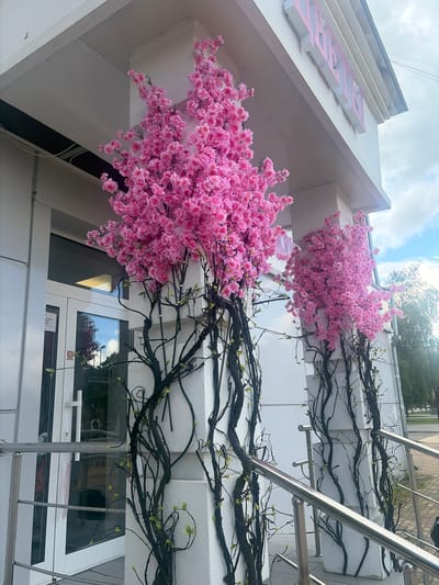 An exterior medium shot captures two decorative artificial cherry blossom trees with bright pink flowers and dark, twisting branches against a white building facade. The trees are positioned on either side of a building entrance, one on the left and another further to the right. The building has a white exterior with large glass doors and windows visible on the left. A metallic handrail runs along a set of stairs in front of the building, and a cloudy sky is visible in the background, with trees and a streetscape to the right. The scene appears to be in a commercial area. The building features a sign with pink lettering on its upper facade.