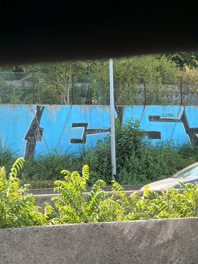 The image captures a graffiti-covered blue wall adjacent to a chain-link fence and lush green vegetation. The graffiti features large, bold black lettering, with some sections appearing to be partially obscured by the surrounding greenery. A light-colored pole stands near the center of the frame. In the lower right corner, a portion of a light-colored vehicle is visible, suggesting a road or parking area. The overall scene appears to be an outdoor urban environment, potentially a public space or thoroughfare. The image has been geotagged to Thiais, France.