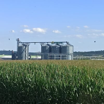 In the foreground of the image is a dense field of green corn stalks, suggesting an agricultural setting. In the mid-ground, a large industrial complex with multiple tall, cylindrical silos is visible. The silos appear to be constructed of metal and are connected by an elevated conveyor system. Above the silos, a green sign with yellow lettering is present, reading "ecoplant". The background consists of rolling hills covered in trees and vegetation, with a clear blue sky above, punctuated by a few scattered white clouds. A bridge or elevated roadway can be seen crossing the landscape in the distance. The overall scene depicts an agricultural processing facility situated within a rural environment.