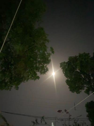 The image is a nighttime, low-angle shot of the sky, with the moon as the central focal point. The moon is bright and surrounded by a halo of light, creating a lens flare effect that extends outwards in starburst patterns. On either side of the moon, the silhouettes of lush green trees are visible, their leaves catching some of the moonlight. In the background, a hazy, overcast sky obscures any stars. Thin wires are also visible crisscrossing the frame, suggesting an urban or semi-urban environment.
This scene could be found in Giginyu, Nigeria, a district within the city of Kano. Giginyu is a densely populated area with a mix of residential and commercial properties, where trees are common in courtyards and along streets. The presence of overhead wires is also characteristic of many Nigerian cities. The overall impression is one of a serene, natural scene juxtaposed with the signs of human infrastructure.