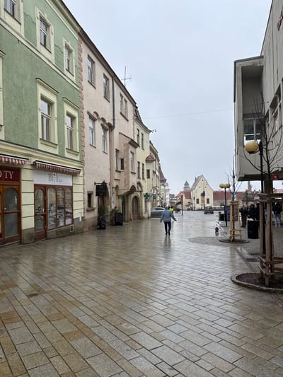 The image displays a pedestrian street in Znojmo, Czechia, identified as Zámečnická street, looking southeast towards the historic center. The sky is uniformly overcast, and the street's light-colored, rectangular cobblestone paving is visibly wet and reflective.

On the left, a two-story building with a textured light green facade houses ground-floor businesses, including a storefront with a red and white striped awning and partial text "OTY," and an adjacent shop identified as "Biju.cz" under a white awning. Next to this is a taller, pale pink building featuring multiple windows and a prominent arched entrance, with a vertical sign displaying "23 Znojmo Bar." Further down the street on the left, a green cross sign indicates a pharmacy, and a dark sedan is parked.

On the right, a multi-story, modern building with a grey concrete facade features recessed sections and large windows. In the foreground on this side, a streetlamp with a yellow-orange globe, several young trees with wooden support structures, and a black cylindrical waste bin are present.

A single individual, wearing a light blue/grey jacket and dark trousers, walks away from the camera down the center of the wet street. A small, dark-colored dog, tethered, walks slightly ahead and to the right of the person. In the distant background, multiple buildings are visible, including a distinct light-colored structure with a dark, domed tower. A small group of people is congregated on the right side of the street in the background.