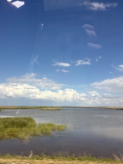The image displays a vast, calm body of water, likely a lake or slow-moving river, under a bright blue sky filled with puffy white clouds. The water's surface is mostly still, reflecting the sky and creating a slightly hazy, serene atmosphere. Along the right edge of the water, tall, green reeds or marsh grass grow densely, partially obscuring the land beyond. To the far right, a strip of dry, yellowish grass suggests a shoreline or embankment.

In the upper left quadrant of the image, reflections on a smooth surface, possibly a window, reveal blurry shapes. These shapes appear to be interior elements of a vehicle, with what could be the headrests of seats and a portion of a dashboard or window frame visible. The reflection also shows distorted images of clouds and the blue sky.

The overall scene suggests a peaceful, outdoor setting, possibly experienced from within a vehicle or dwelling with a large window overlooking the water. The bright sky and abundant clouds indicate daytime, likely mid-morning or afternoon, with fair weather. The location cues, such as the marshy vegetation and the calm water, are consistent with a rural or natural landscape. No text is visible in the image.