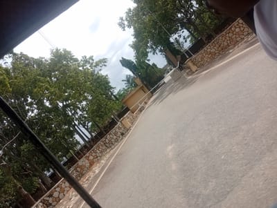 The media file shows an outdoor scene, likely in Du, Nigeria. The perspective suggests the viewer is inside a vehicle, possibly a car or bus, as indicated by a dark, horizontal bar partially obscuring the top left of the frame, and a slight blur that could be motion.

The foreground is dominated by an asphalt road, which takes up a significant portion of the image and is angled diagonally from the bottom right to the top left. To the left of the road, a low, decorative stone wall lines the area. Beyond the wall, lush green trees with dense foliage are visible, some with thick trunks, suggesting a tropical or sub-tropical environment.

In the midground, a black wrought-iron gate, typical of an entrance to a property, is present, partially open. Adjacent to the gate is a low, light-colored building. Further back, more trees and vegetation can be seen, with some taller, slender trees interspersed among the broader ones. The sky above is bright and appears to be partly cloudy, suggesting daylight. The overall impression is one of a well-maintained, possibly affluent, area with a strong presence of natural greenery. There is no visible text in the image.