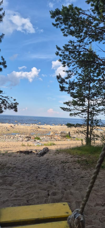 The image shows a tranquil scene at a beach in Моторное, Russia. The foreground is dominated by sand, with a yellow swing seat visible at the bottom, partially obscured by a thick rope. Beyond the sand, a rocky shoreline meets a calm, blue sea under a partly cloudy sky. Pine trees frame the view on either side, their branches reaching towards the sky. Scattered rocks and driftwood are present on the beach, suggesting a natural, undeveloped setting. The overall impression is one of a peaceful, secluded natural environment.