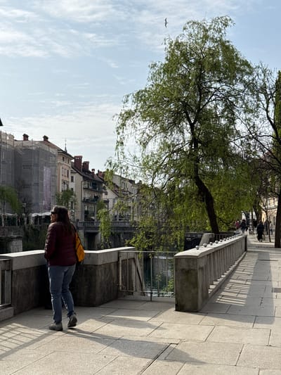 The photo depicts a street scene in Ljubljana, Slovenia. A woman stands on a stone walkway along the Ljubljanica River, holding a device in her hands. She is wearing a maroon jacket, blue jeans, and has a yellow bag on her back. Behind her are buildings, including one covered in scaffolding. A tree with light green foliage is to her left. In the sky, there is a single bird flying in the distance. To the right of the woman, a staircase with metal railing descends towards the river. Other people can be seen in the background, walking on the walkway.