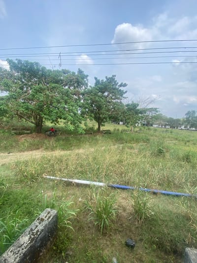 The image displays an outdoor, unkempt green space in Uyo, Nigeria, under a partly cloudy sky. The foreground and midground are covered in overgrown green and brown grasses. A rough, weathered concrete barrier is visible in the bottom-left corner. Lying horizontally on the grassy ground in the mid-foreground are two pipes, one white/light grey and the other blue. In the midground, a cluster of large trees with dense green foliage provides shade; a section of branches on the rightmost tree appears desiccated. Beneath these trees, several simple concrete benches are positioned. One individual, wearing a red shirt, is seated on a bench under the leftmost large tree, facing towards the right. In the far background, across an additional grassy expanse, multiple light-colored, multi-story buildings with dark roofs are discernible. Several black utility lines traverse the upper portion of the frame against the sky.