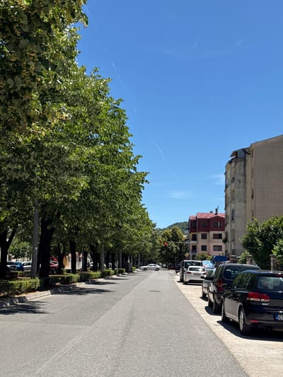 The image depicts a street scene in Cetinje, Montenegro, on a clear, sunny day. A tree-lined road stretches into the distance, with parked cars lining the right side. Buildings are visible on the right, featuring apartment blocks and what appears to be a building with a red roof. The trees on the left create a canopy of green leaves, casting shadows on the pavement. The road itself is asphalt, with a white lane marking visible. Several vehicles, including a black Volkswagen Golf, are parked along the curb. The sky is a bright blue with faint contrails from an aircraft.