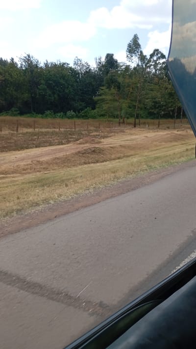 A roadside view from inside a vehicle reveals a stretch of asphalt road. Adjacent to it is a verge of dry grass and earth, transitioning into a field with sparse vegetation. A line of fence posts marks the boundary with a thicket of trees in the background, punctuated by a few taller trees. The sky, visible in the upper portion of the frame, is partially cloudy. A section of the vehicle's interior and exterior is visible in the right of the shot, giving context to the viewpoint.