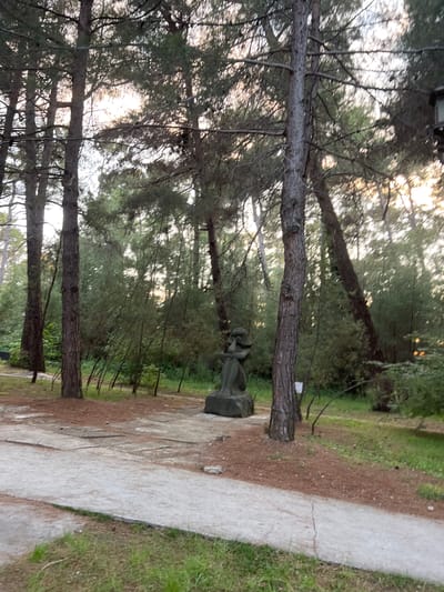The image depicts a statue of a seated woman located in a park or wooded area in Pitsunda, Abkhazia. The statue is made of dark stone and is positioned on a concrete base in the center of the frame, surrounded by pine trees and undergrowth. A paved pathway runs in the foreground, with grass and pine needles on either side. The lighting suggests it is either early morning or late afternoon, with sunlight filtering through the trees from the right. The environment is natural, with tall, slender pine trees dominating the scene.