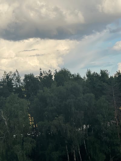 The image depicts a dense forest canopy against a cloudy sky. The trees are a mixture of deciduous and coniferous species, with dark green foliage dominating the scene. Some birch trees with distinctive white bark are visible among the darker trees. The sky is filled with a combination of grey, overcast clouds and patches of lighter, more scattered clouds, with a hint of blue sky visible in the upper right corner. The lighting suggests it is either early morning or late afternoon, with soft, diffused light. The overall impression is one of a natural, undeveloped landscape. The location within the city of Мирный, Russia, is not visually indicated in the image itself; this detail is provided as context. There are no people or specific man-made objects visible in the photograph.