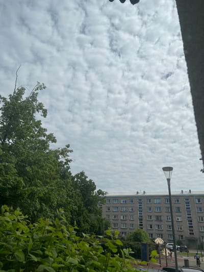 This is a photograph taken from a low angle, looking upwards and outwards, likely from a balcony or window in Ventspils, Latvia. The foreground is dominated by lush green foliage, with bright green leaves and stems filling the bottom portion of the frame. Behind the foliage, a multi-story brick apartment building is visible, characterized by its beige brick facade and numerous white-framed windows arranged in a grid pattern. The building has a flat roof with several ventilation shafts or small structures. A street lamp with a modern, conical shade stands tall to the right of the building. In the middle ground, a children's playground structure with colorful elements and a slide can be seen, along with parked cars. To the left of the apartment building, a large tree with dark green leaves extends upwards, its branches reaching towards the sky. The sky above is filled with a dense layer of cumulus clouds, creating a textured, overcast appearance. A sliver of a gray, rough-textured surface, possibly a building exterior or wall, juts into the upper right corner of the frame. A person is visible riding a bicycle on a path in front of the apartment building.