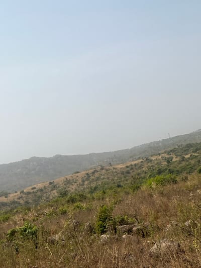 The image depicts a vast, hazy outdoor landscape in Assob Hausa, Nigeria, characterized by undulating hills under a light blue to light grey sky. The foreground and midground consist of slopes covered predominantly with dry, golden-brown grass and scattered green shrubs, interspersed with visible rock formations. The vegetation appears sparse and arid. In the distant midground, more prominent hills display a similar mix of dry and green foliage, with the terrain becoming progressively hazier. A slender, tall structure, resembling a communication tower, is discernible atop a distant hill towards the right side of the frame. No individuals, animals, or specific actions are observed.