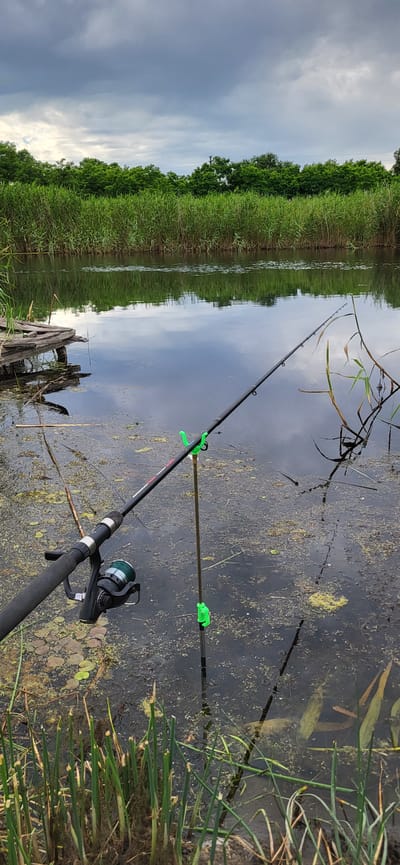 The image depicts a fishing scene on a body of water in Hetmanivka, Ukraine. In the foreground, a fishing rod with a reel is set up on the bank. The rod is black and has red lettering on it, and it rests on a thin metal rod with two bright green holders. The water's surface is dark and reflects the cloudy sky and the surrounding greenery. Scattered on the water are patches of algae and some lily pads. To the left, a weathered wooden structure, possibly part of a small pier, juts into the water. The background is dominated by a dense line of tall green reeds and trees, with a cloudy, overcast sky above. The environment appears to be a rural or natural setting, likely a river or a pond, common in the landscape of Hetmanivka. There are no people or animals visible in the frame. The lighting suggests it is daytime, but the clouds indicate potentially inclement weather.