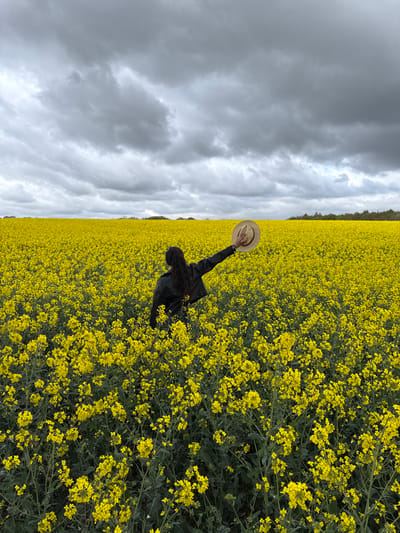 The original image, oriented sideways, portrays a person standing in a vast field of vibrant yellow flowers, likely rapeseed or canola, under an overcast sky in the Breckland District, United Kingdom.
The main subject is a person, viewed from behind, with long dark hair and wearing a dark jacket. They are positioned amidst the dense yellow blooms, extending their right arm outwards while holding a light-colored hat, possibly made of straw or felt. The person appears to be observing the expansive floral landscape before them.
The scene is characterized by the striking contrast between the intense yellow of the flowers, which stretch to the horizon, and the dramatic, brooding grey and white clouds filling the sky. A distant treeline is faintly visible along the horizon on the left side of the frame, marking the boundary of the flower field. Close-up views reveal the intricate details of the yellow blossoms and their dark green foliage. The sky is heavily clouded, suggesting an overcast daytime, with soft, diffused light. There is no visible text in the image. The overall impression is one of contemplative engagement with a dramatic natural landscape.