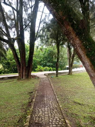 A narrow cobblestone path leads into a verdant park-like area. Trees of varying sizes flank the path, some thick with moss on their trunks. The ground is covered in grass, and in the distance, there is a glimpse of a road and more greenery. The sky is overcast, providing soft, diffused light.