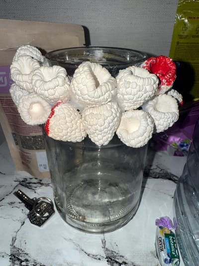 The image depicts a close-up, eye-level shot of a glass jar with a decorative item made of what appears to be white, textured material resembling raspberries. A single red raspberry is visible among the white ones, partially attached to the jar's rim. A set of keys with a diamond-shaped fob lies on a marble-patterned surface in front of the jar. In the background, to the left, a package with text and graphics is visible. To the right, a partially unwrapped candy bar with "botanica" branding is on the surface. The scene is indoors, with a plain, greyish wall as the backdrop. There is no discernible information or context that would place this image specifically within the city of Samara, Russia.