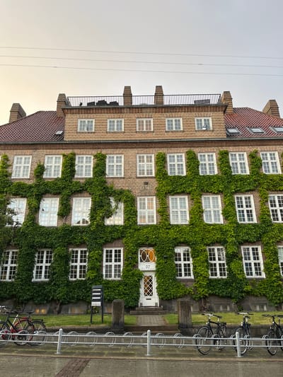 A multi-story brick building, largely covered in lush green ivy, stands under an overcast sky. The image is composed vertically, capturing the height of the structure. The main facade is constructed of red brick, with the vibrant ivy forming a dense, grid-like pattern that meticulously outlines numerous rectangular windows. These windows feature white frames, each divided into multiple panes.
To the left, a section of the building with a sloped red-tiled roof and a black metal balcony railing is visible. This section is also brick but has less ivy. Several thin power lines stretch across the pale, uniform sky in the upper left.
At the ground level on the right side of the ivy-covered facade, two entrance doors are visible. One is white with the number "97" displayed beside it, while the other features decorative glass panels. A small, dark-colored mailbox or delivery box is placed near these entrances, partially obscured by the ivy.
Adjacent to the building, a paved area and a strip of green grass are present. A long, silver bicycle rack extends along the paved area, holding several black bicycles. The overall scene suggests a calm, urban setting, likely during the daytime on a cloudy day, common in cities like Aarhus, Denmark, where cycling is prevalent. No human activity is directly depicted, but the parked bicycles imply human presence.
