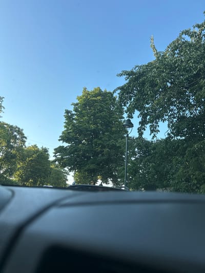 This is an outdoor, eye-level shot captured from inside a vehicle, looking through the windshield. The foreground is dominated by the dark, blurred dashboard of the car. Beyond the vehicle, a clear blue sky stretches across the upper portion of the frame. Lush green trees, with dense foliage, fill the midground and background, creating a natural setting. A dark lamppost with a visible light fixture is positioned amongst the trees on the right side of the image. A faint contrail is visible in the sky. The scene suggests a daytime setting with abundant natural light. Given the context of Dusseldorf, Germany, this could be a street scene lined with trees or a park area.