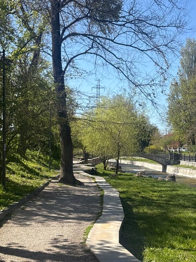 The image depicts a park setting, likely in Simferopol, Ukraine. A prominent tree with bare branches occupies the left side of the frame, contrasting with other trees displaying fresh green foliage. A pathway curves through the scene, with a concrete walkway bordering a gravel path. Beyond the path, there's a constructed water channel, possibly a river or stream, with a small bridge visible in the distance. The environment is bright, suggesting a sunny day, with clear blue sky visible. A power line is visible extending across the sky. The image portrays a quiet, natural environment.