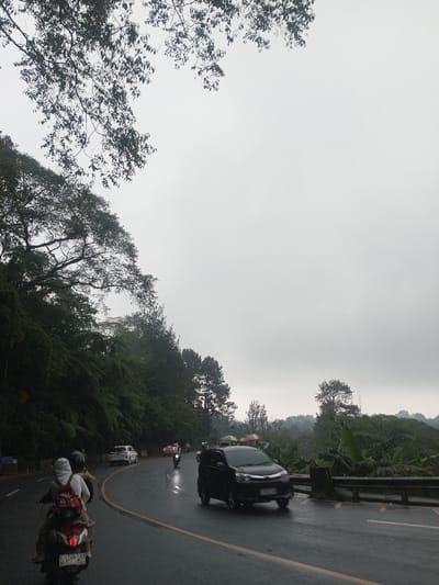 The image captures a view along a curved, wet asphalt road winding through a lush, green landscape under an overcast sky. The overall impression is that of a mountainous or hilly region, possibly after or during light rain.
On the left side of the image, from the foreground to the midground, dense foliage and large trees dominate, forming a thick green wall along the roadside. Overhanging branches with dark leaves frame the top-left corner. Below the treeline, a light-colored guardrail is partially visible. The road itself is clearly wet, reflecting the grey sky and the vehicles moving on it. A solid yellow line marks the lane division.
In the immediate foreground, on the left side of the road, a red and black scooter (motorcycle) is visible, with two individuals riding it. The passenger, wearing a light-colored hoodie and a backpack, is seated behind the driver, who wears a dark helmet. The scooter's license plate, partially visible, reads "D 5740 ZZ". Further up the road on the left, a white car and another motorcycle can be seen.
On the right side of the road, a dark grey guardrail lines the edge. Beyond it, the terrain slopes downwards, covered in various green plants, including some with large, broad leaves resembling banana plants. In the midground-right, several tall, slender trees, possibly pines, are scattered across the landscape. Further in the distance, a lighter area reveals what appears to be a small cluster of roadside stalls or structures, indicated by colorful umbrellas (red, yellow, green, blue). The background consists of rolling hills covered in vegetation, all under the uniformly grey, cloudy sky that fills the upper half of the image.
Prominently featured in the mid-right on the road is a black minivan or SUV, with its headlights on, appearing to move towards or past the viewer. Several other motorcycles and cars are scattered along the road in the distance, indicating active traffic. The wet road surface, combined with the overcast sky and lush greenery, suggests a cool or humid atmosphere, typical of a rainy or misty day in a tropical or subtropical highland region. The scene depicts everyday transit through a scenic, natural environment.