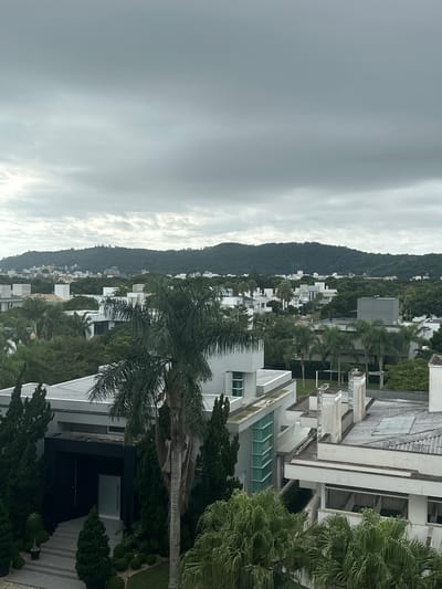 This is an eye-level, medium shot of a residential neighborhood in Florianópolis, Brazil, on an overcast day. The foreground features modern white houses with flat roofs, interspersed with lush green trees and palm trees. In the center, a prominent palm tree stands tall. The middle ground shows more houses and dense foliage, extending towards a green, tree-covered hill in the background. The sky is a uniform, muted gray, indicating cloudy weather. There are no people or animals visible in the scene. The overall impression is one of a well-maintained, affluent suburban area.