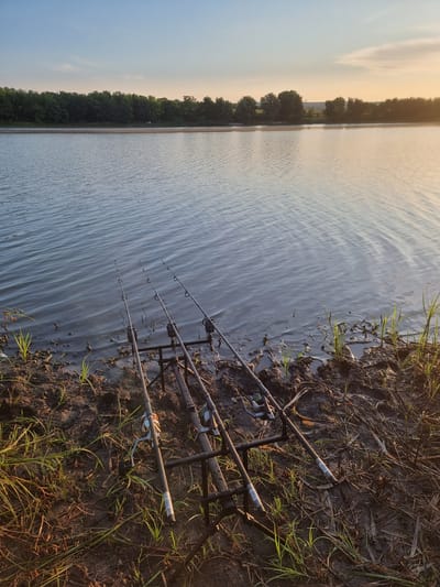 Three fishing rods are set up on a rod pod on the muddy bank of a body of water. The water is calm with ripples reflecting the sky. The bank is covered in mud and grass. In the background, a line of trees separates the water from a field and a hazy sky. The sun is setting, casting a warm glow over the scene. The location is Văsieni, Moldova.