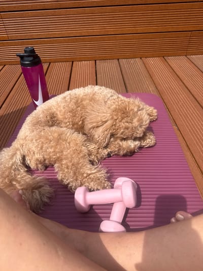 The image captures an overhead view of a relaxed outdoor scene in Vila Nova de Gaia, Portugal, under bright sunshine, likely midday or early afternoon given the strong shadows. A small, light brown, curly-haired dog, possibly a poodle, is curled up and resting on a purple yoga or exercise mat.
Beside the dog, a pair of pink dumbbells and a purple water bottle are visible on the mat. The water bottle features a black cap and a prominent white swoosh logo, indicating it might be a Nike product. The mat rests on a wooden slatted floor, suggesting an outdoor setting like a deck or balcony.
Part of a person's leg and foot, with light-colored nail polish, is visible in the upper and lower right portions of the frame, indicating their presence alongside the dog and exercise equipment. The scene conveys a sense of peaceful activity or post-exercise relaxation.