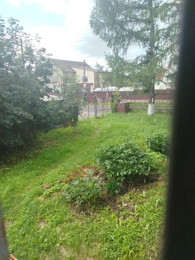 The image shows a residential yard with a house in the background. The house is a two-story structure with a light-colored facade and a dark roof. A fence runs along the property line, and a metal gate is visible. The yard is covered in grass and various plants, including bushes and trees. It appears to be raining, as streaks of water are visible in the air. There are no people visible in the image. The scene is likely a typical suburban or rural setting in Zavodoukovsk, Russia.