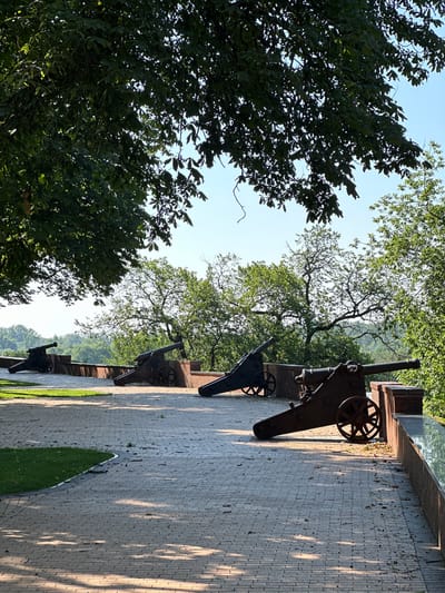 The image depicts a scenic view of a park area with several historical cannons positioned along a paved walkway overlooking a lush, tree-filled valley. The cannons, dark and weathered, are mounted on wheeled carriages, suggesting a historical or commemorative setting. They are aligned on a raised platform with a brick wall. A large tree with dense foliage shades a portion of the foreground, casting dappled shadows on the walkway, which is paved with light-colored bricks. The background features a panorama of rolling hills and dense greenery under a clear blue sky. The overall atmosphere is peaceful and picturesque. This location is within the city of Chernihiv, Ukraine, likely part of a historical fortification or memorial site.