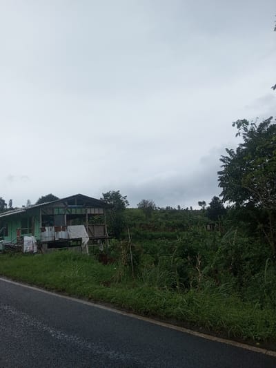 The image displays a rural landscape in Babaliya Mal., India, under an overcast sky. In the foreground, a dark, wet-appearing asphalt road runs horizontally, bordered by a strip of green grass and weeds. To the left, an elevated, single-story structure with light green walls and a dark sloped roof stands; its open-sided front section is partially enclosed with various materials including corrugated metal sheets and white/gray draped fabrics. To the right of the structure and extending into the midground and background is a densely vegetated hillside featuring numerous green plants, possibly crops, and scattered trees, with visible vertical support stakes among the growth. The background consists of more heavily vegetated hills under the uniform gray cloud cover. No individuals or specific activities are visible.