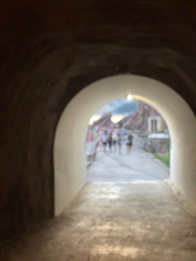 The image shows a view through a curved opening in a stone wall, looking out onto a scene in Rafailovići, Montenegro. The opening has a light-colored, smooth interior, and a small, bright light fixture is visible on its left edge.
Through the opening, a path or street is visible, lined with buildings. Several people are gathered on the path, some appearing to be seated. The background suggests an outdoor environment, with hints of greenery. The lighting indicates it is daytime, possibly late afternoon or early evening, given the soft, diffused light and the warm tones.
The texture of the stone walls within the opening is rough and dark, contrasting with the smooth interior of the archway and the bright, out-of-focus scene beyond. The overall impression is one of looking from a sheltered, possibly underground or interior space, out to a bustling area. The blurriness of the image obscures specific details about the people's activities, their clothing, or the architectural style of the buildings. No text is visible in the image.