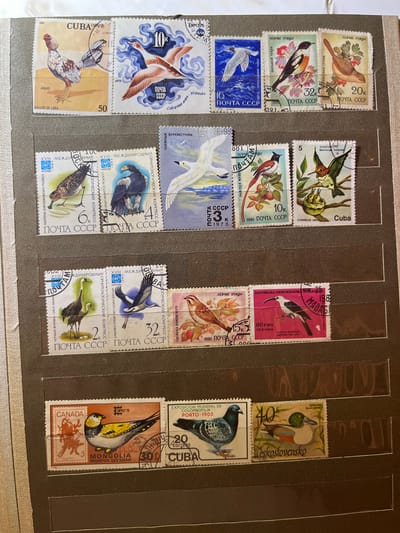 The image displays a page from a stamp album, showcasing a collection of postage stamps, primarily featuring birds. The stamps are arranged in rows and columns within transparent sleeves.
The subjects of the stamps are diverse birds, depicted in various artistic styles. Some stamps are from the USSR, featuring titles like "ПЕВЧИЕ ПТИЦЫ" (Songbirds) and "ОРНИТОЛОГИЧЕСКИЙ КОНГРЕСС" (Ornithological Congress). Other stamps are from Cuba, Canada, Mongolia, and Czechoslovakia, with individual bird species named or illustrated. The artwork ranges from realistic to more stylized depictions.
Several stamps have dates printed on them, including 1972, 1975, 1978, 1981, and 1982, suggesting the collection spans a period of about a decade. Some stamps also include currency denominations like "20k," "32k," "10k," "15k," and "20". There are also mentions of "EXPO 75" and "EXPOSICION MUNDIAL DE COLOMBOFILIA PORTO-1905," indicating some stamps may commemorate exhibitions or events.
The scene is an indoor setting, likely a room where the album is placed, as suggested by the lighting and the background texture which appears to be a neutral-colored surface. There are no people visible in the image. The focus is entirely on the stamp collection. The arrangement of the stamps in the album suggests a hobby or a collector's passion for philately and ornithology. The overall impression is one of organized preservation of small, colorful artworks.