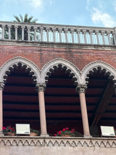 This is a ground-level, eye-level, medium shot of the exterior of a building in Beyoğlu, Turkey, featuring architectural elements and some potted plants. The upper portion of the image shows a stone balustrade with small, fluted columns, set against a cloudy blue sky. A palm tree's fronds are visible behind the balustrade. Below this, a brick facade with pointed arches supported by columns is visible. The arches have intricate stone carvings. The recessed areas behind the arches appear to be a covered walkway or balcony. In the foreground, on a stone ledge, are two potted plants with red flowers, a rectangular floodlight labeled "DÜNYA LED 400W," and another potted plant with red flowers. The architectural style suggests historical or Gothic influences.
