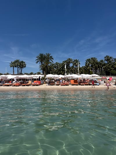 The image shows a beach scene in Cannes, France. The scene is oriented vertically, with the bright blue sky occupying the left side of the frame. Palm trees are interspersed along the beach, which is crowded with orange beach chairs and white umbrellas. People are relaxing in the beach chairs and umbrellas. The right side of the frame features the clear, turquoise-colored water of the Mediterranean Sea, reflecting sunlight and creating a rippling effect.