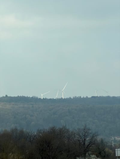 An elevated long shot depicts a landscape in Pagny-sur-Meuse, France, under an overcast, light blue-grey sky that occupies the upper two-thirds of the frame. Five white wind turbines are visible against the sky, positioned above a dense, dark green-grey forest that forms the midground. The turbines have two or three blades, angled at various positions. The forest consists primarily of bare or sparsely leaved deciduous trees. In the foreground, darker, more defined bare deciduous trees dominate the lower portion of the image, some displaying white blossoms or light-colored branches. A small section of a light-colored building roof or structure, along with a partially obscured white rectangular sign, is visible in the bottom right, beneath the foreground trees, indicating distant infrastructure. No individuals or active subjects are present.