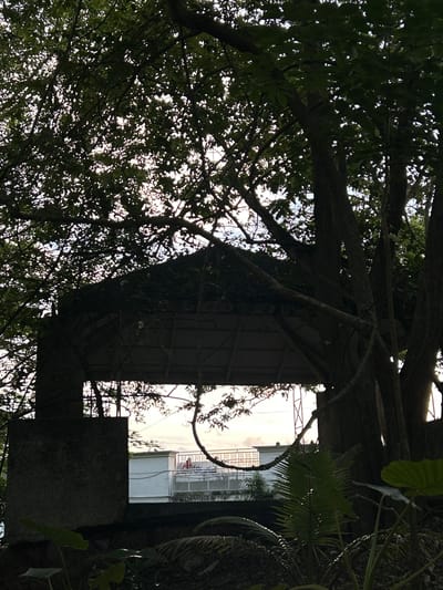 This media file captures a view through dense tree foliage, looking towards a light-colored building and a dark structure that appears to be a canopy or shelter. The scene is dominated by the silhouettes of tree branches and leaves against a bright, likely daytime sky.
The subjects include abundant green leaves and dark tree branches, forming a natural screen. Peeking through the leaves, we see a section of a building with windows and a balcony with railings, suggesting an urban or suburban setting. A dark, angular structure, possibly a wooden or metal canopy with visible framing, is positioned within the trees. Large, broad leaves of a tropical plant are also visible on the right side of the frame.
No specific activity or event is depicted; the image appears to be a still, observational shot.
Notable details include the bright light filtering through the leaves, indicating it is daytime. The presence of lush foliage and tropical plant leaves suggests a warm climate, consistent with the provided location context of Ratsada, Thailand. The contrast between the dark, organic shapes of the trees and the more geometric, man-made structures is a prominent visual element. The overall impression is one of nature encroaching on or surrounding built environments.
There is no visible text in the media file.