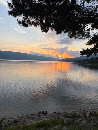 The image displays a sunset over the Dospat Reservoir in Dospat, Bulgaria. The upper portion of the frame is dominated by the dark silhouette of conifer tree branches, extending from the top and upper right. The sky transitions from a pale blue at the zenith to vibrant orange and yellow hues near the horizon, punctuated by scattered clouds in shades of grey, pink, and orange. The sun is visible low on the horizon, partially obscured by clouds, emitting distinct crepuscular rays that fan upwards into the sky and reflect brightly on the water's surface. A single, thin white airplane contrail is present in the upper left quadrant of the sky.

The surface of the reservoir exhibits extensive rippling, reflecting the varying colors of the sky, with a prominent orange reflection from the setting sun. In the background, multiple layers of dark, forested mountains or hills line the far shore. On the right side of the distant shoreline, a curved landmass is visible, covered with dense trees, and a small white structure, possibly a camper van or building, is discernible among the foliage. The immediate foreground features a sandy and rocky shoreline, sparsely populated with green vegetation and various sizes of grey stones and rocks. No individuals are present, and no specific actions are depicted within the scene.