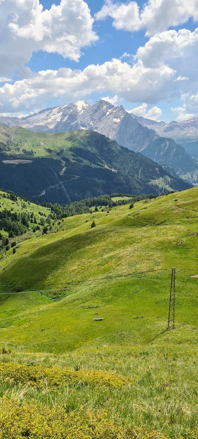 A landscape photograph captures a lush, green mountain valley under a bright blue sky dotted with white, fluffy clouds. In the foreground, a grassy slope is sparsely dotted with yellow wildflowers and low-lying green shrubs. A single dark brown metal pole with wires stretches across the frame, indicating electrical infrastructure. Further up the slope, a light-colored bench sits on the grass. The middle ground transitions into rolling hills covered in vibrant green grass and scattered coniferous trees. Winding dirt paths are visible on these hills, suggesting hiking or biking trails. A small lake or reservoir can be seen nestled in the valley. The background is dominated by majestic, rugged mountains with snow-capped peaks, their gray and white surfaces contrasting with the verdant slopes below. The scene is set in the Dolomites region of Italy, likely near Sëlva - Wolkenstein - Selva di Val Gardena, given the characteristic mountain formations and the presence of alpine meadows and infrastructure typical of a ski resort area in summer. There are no people or animals visible in the image. The lighting suggests it is daytime, with sunlight casting shadows on the slopes, highlighting the terrain's contours.