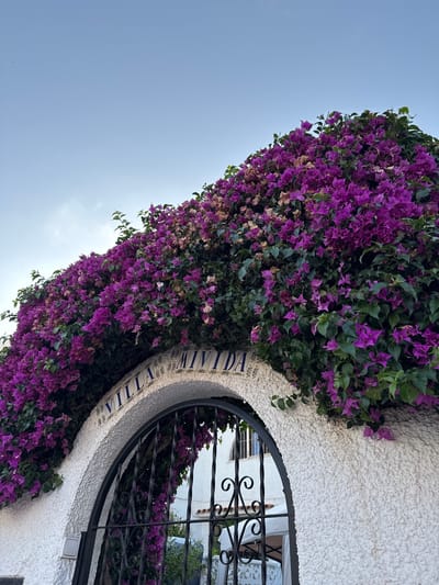 The image features a close-up of a white, textured wall with an arched opening. The opening is framed by a black wrought-iron gate and is partially obscured by lush green foliage and vibrant purple bougainvillea flowers. The bougainvillea spills over the wall, creating a natural and colorful archway.
Below the archway, on the white wall, there are decorative blue and white tiles forming letters that spell out "VILLA TORREVIEJA". This text, combined with the visual style of the architecture and the prominent bougainvillea, suggests a warm, Mediterranean setting, consistent with the provided location context of Torrevieja, Spain.
The sky in the background is a pale blue, indicating it is daytime, likely morning or afternoon, with some soft cloud cover or hazy sunlight. No people are visible in the image. The overall mood is serene and picturesque, highlighting the beauty of the natural elements intertwined with the man-made structure. A small grey electrical box is visible on the textured wall to the right of the gate.