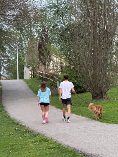 A man and a woman walk along a paved path in what appears to be a park or residential area in Grove City, Ohio, United States of America. The man, wearing a white shirt and black shorts, holds a leash connected to a golden-colored dog, which is visible in the upper right. The woman, closer to the viewer, wears a blue shirt and black shorts with pink running shoes. A large tree with a dense network of bare branches dominates the left side of the frame. A wooden fence and a house can be seen in the background. The path is bordered by grass on both sides.