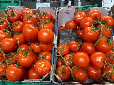 The image displays a close-up, overhead view of two cardboard boxes filled with ripe, red tomatoes. The tomatoes are of various sizes and shapes, with some still attached to their green stems and vines. They are arranged in a layered fashion within the boxes. The lighting suggests an indoor setting, possibly a market or grocery store. The boxes are placed next to each other, and the scene is predominantly focused on the tomatoes. There is no visible indication of the city of Bel Air, Spain, or any specific location within it. No people, actions, or interactions are depicted. The environment appears to be a retail display.
